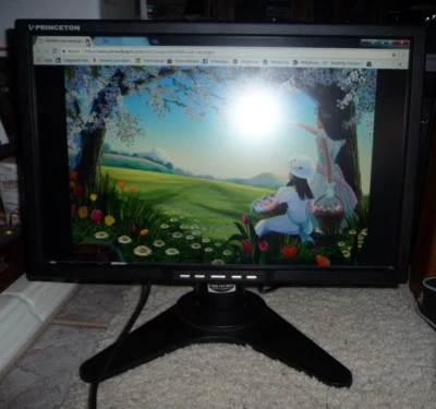 Princeton Digital VL2018W 20" Widescreen LCD Monitor Bundle  - Image 1 of 4