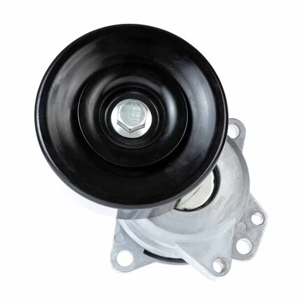 Correas 55825 Accesorio Correa de transmisión Tensor Polea Fead Automático para Goodyear Foto 1 de 4