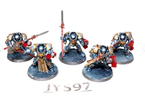 Warhammer Grey Knights Paladins JYS97 - Bild 1 von 1