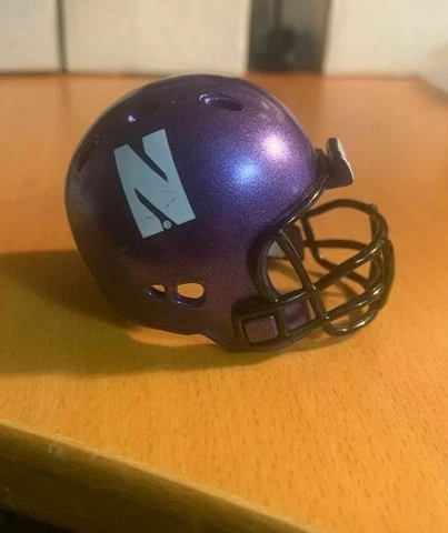 Riddell pocket pro football helmet Northwestern Wildcats REVOLUTION style Cover