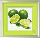Monalisa 11CT cross stitch kits "Lime"-41cm*39cm
