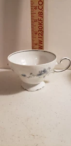Johann Haviland Blue Garland Bavaria Germany China SAUINRRING Footed Cup - Picture 1 of 5