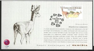 NAMIBIA, 2015 SMALL ANTELOPES OF  NAMIBIA 4 X ILLUSTRATED CARDS WITH STAMP - Picture 1 of 1