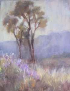 Pastello artistico firmato delle colline di Santa Barbara - Foto 1 di 2