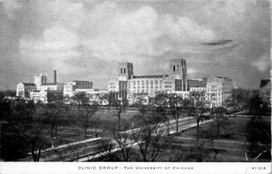 Clinic Group The University of Chicago IL Illinois Sepia Chrome c1940 Postcard - Picture 1 of 2