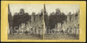 LLANELLTYD Cymer/Kymmer Abbey, Wales (Antique Stereoview Stereoscope) 1870s/80s - Picture 1 of 2