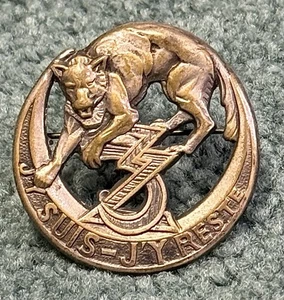 Original WWII Era 3rd Zouave Regiment Badge Pin Back 509th - Picture 1 of 3