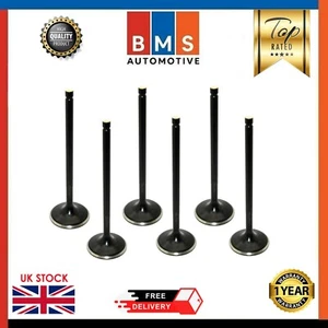 JUEGO DE 6 PIEZAS VÁLVULAS DE ENTRADA FORD 1.0 M1DA - Imagen 1 de 6