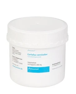 Coriolus versicolor - Schmetterlingstramete Vitalpilzextrakt 120 Kapsel - Bild 1 von 2