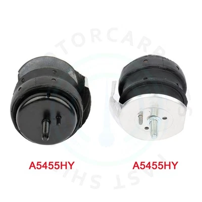 Montaje de motor hidráulico delantero L & R 2 piezas para 03-10 Cadillac SRX/STS/CTS 3149 Foto 1 de 4