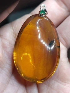 925 Sterling Silver Bug Golden Green Amber Pendant - Picture 1 of 8