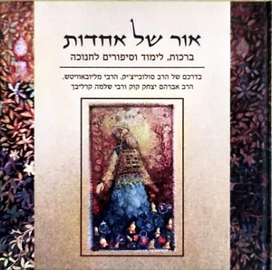 The LIght That Unites Rabbi Aaron Goldscheider HEBREW אור של אחדות הרב אהרן גולד - Picture 1 of 2