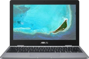 Asus Chromebook 11.6" CX22NA-BCLN4 Gray - Picture 1 of 8
