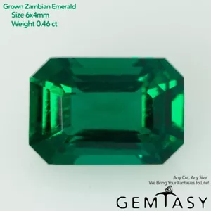 Cut stone - Emerald Zambian hydrothermal lab grown, Octagon 6x4mm 0.39-0.46ct - Picture 1 of 4