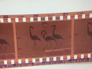 Hood River News - Arte público en la ciudad - Archivos negativos de películas - Imagen 1 de 4