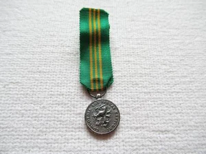 Orden Países Bajos Medalla De Plata De La Reunión 1988 Miniatura Con Cinta ! - Imagen 1 de 3