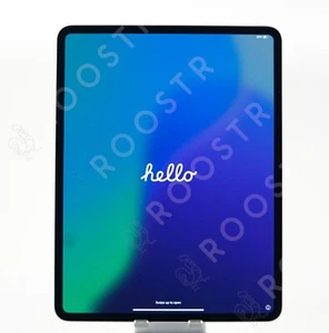 13" Apple iPad Pro M4 Chip 256GB WiFi Only Silver MVX33LL/A - Good - Picture 1 of 7
