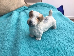 Branksome Vintage China Dog - Picture 1 of 5