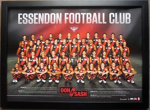 2014 ESSENDON FOOTBALL CLUB TEAM 2014 AFL Essendon Bombers Team Poster Framed - Picture 1 of 1