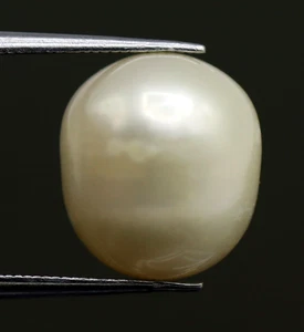 Piedra preciosa de China de forma desigual suelta brillante perla de agua dulce natural de 7,76 quilates - Imagen 1 de 9