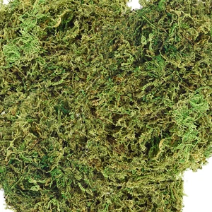 35 OZ Moss for Potted Plants Fake Moss for Fake Plants,Artificial Moss for Craft - Picture 1 of 12