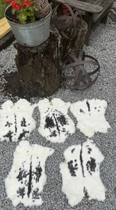 Lot 5 Natural Spotted Rabbit Skin Pelts Fur Hide Leather Tanned Bunny Skin Craft - Picture 1 of 7