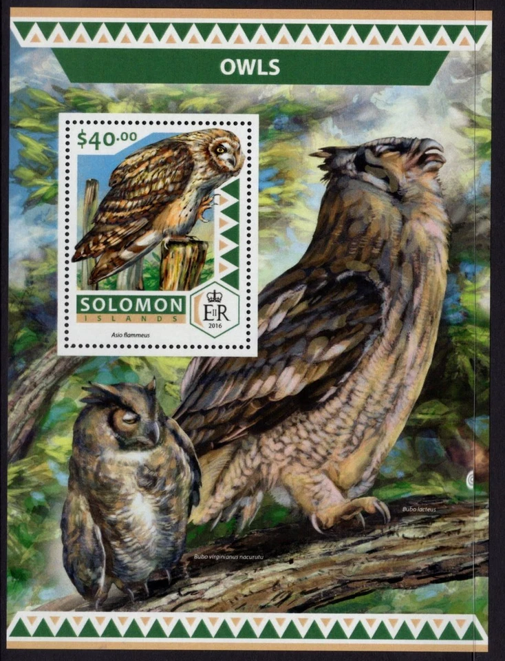 SOLOMON ISLANDS - 2016 'OWLS' $40 Miniature Sheet MNH [D7400] - Image 1 of 1