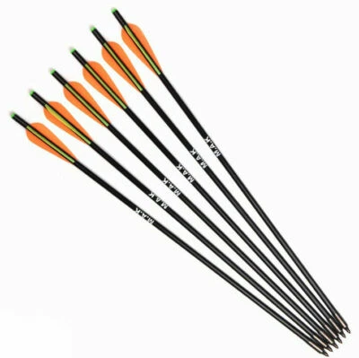 6Pcs 20"8mm Fiberglass Arrows Archery Diameter With Plastic Feather Shooting - Image 1 of 4