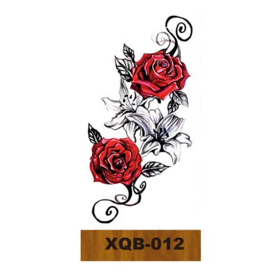 Tatuajes temporales cuerpo brazo tatuaje pegatina media manga falsa impermeable Foto 1 de 4