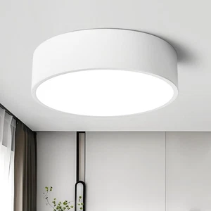 Dimmable LED White Flush Mount Ceiling Light Fixture,Modern Round Hallway Lig... - Picture 1 of 9