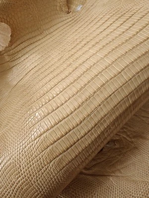 Genuine lizard iguana skin, genuine iguana leather, Exotic leather - Image 1 of 4