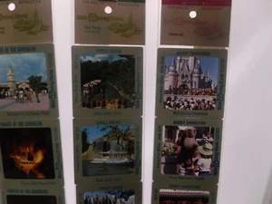 Pana Vue slides Disney World - Picture 1 of 9