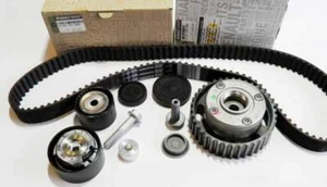 KIT DE POLEA Y CORREA DE DISTRIBUCIÓN DEPHASER RENAULT MEGANE III 2.0 RS / TCE (KIT GENUINO) - Imagen 1 de 4