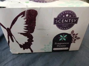 Scentsy Fragrance Flower Winterberry Apple Tea – New, Box Wear, Rare Scent - Picture 1 of 6
