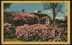 Postcard Cape Cod Massachusetts Rose Cottage Unposted Free US Shipping from USA - Picture 1 of 2