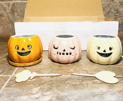 Set Of 3 Pumpkin Ceramic Planter Succulent Pots Halloween Fall Decor Harvest Foto 1 de 4