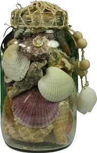 Surtido de conchas marinas en tarro con arco de abaca 3,5x6" - Imagen 1 de 1