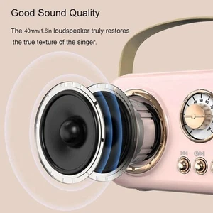 Portable BT Speaker And Mic Set Retro BT Speaker With Handheld Karaoke Mic Fo DB - Photo 1 sur 12