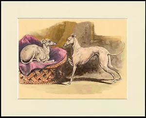 ITALIAN GREYHOUND TWO LITTLE DOGS CHARMING DOG PRINT MOUNTED READY TO FRAME - Foto 1 di 1