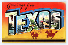 Old Postcard Greetings from Texas Large Letter Longhorn Roping Horses #3