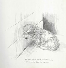 Sealyham Terrier "Mouse" - Vintage Dog Art Print - 1938 Kf Barker Dd