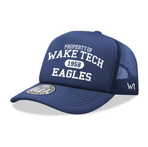 Southern Miss Golden Eagles University Trucker Mesh Baseball Snapback Cap Hat - Picture 1 of 1