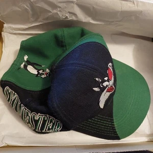 Vintage Sylvester Looney Tunes Drew Pearson Swirl Wave Strapback 90s Hat Rare - Picture 1 of 8