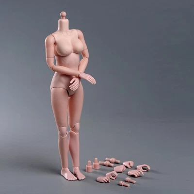 Cuerpo flexible pecho súper grande pálido femenino 1/6 para figura de acción de 12" Foto 1 de 4