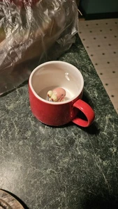 Gary die Schnecke rot Kaffeebecher mit Figur innen Tasse aus SpongeBob Schwammkopf - Bild 1 von 3