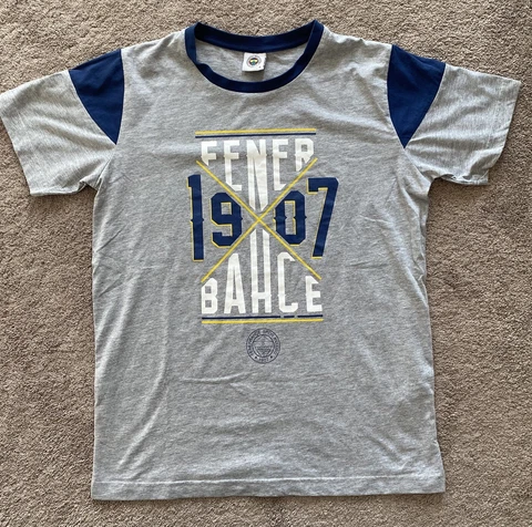 Fenerbache 1907 Football Soccer Men’s Grey Shirt Size Small Cover