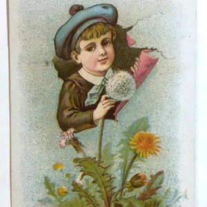 Victorian Trade Card Cobb's Refined Borax Soap Arthur H Cobb Boston MA Dandelion - Picture 1 of 3