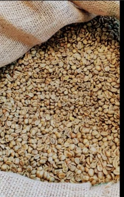 5 LBS Blend: Aged Sumatra  Mandheling, Sumatra , Guatamala. - Image 1 of 4