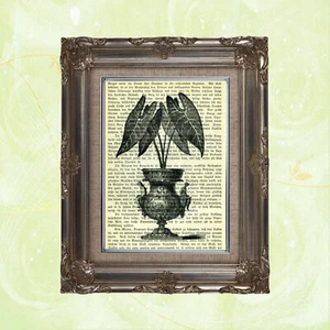 Antike Buchseite Kunstdruck: Vintage Botanical on 1902 German Text, Shirley Hibb - Bild 1 von 2