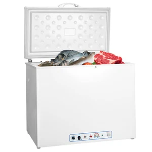 Smad Chest Freezer 220V 2-way Power Outdoor LPG Freezer Off Grid RV Camper - Picture 1 of 15
